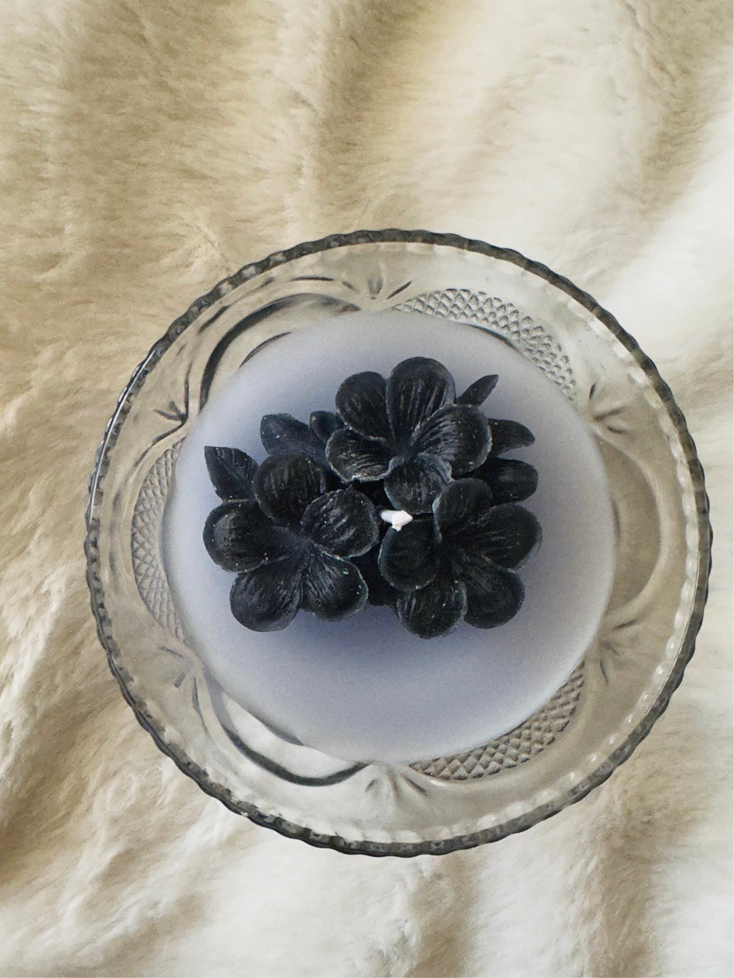 Midnight Lavender